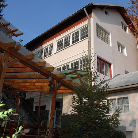 Cazare Casa Cristina Буштени Экстерьер фото