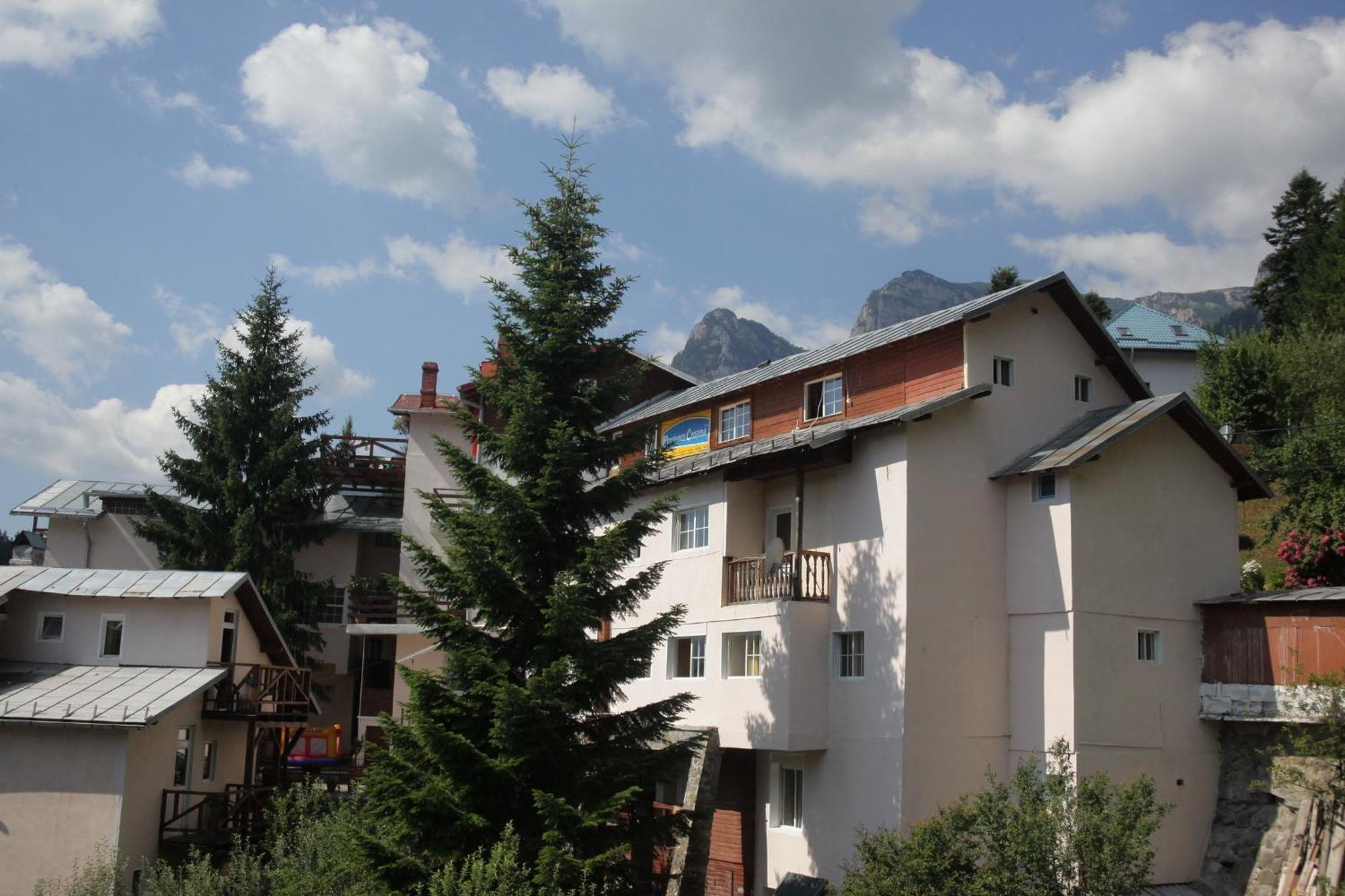 Cazare Casa Cristina Буштени Экстерьер фото